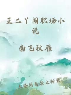 王二丫闯职场小说