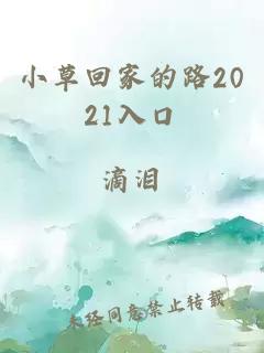 小草回家的路2021入口